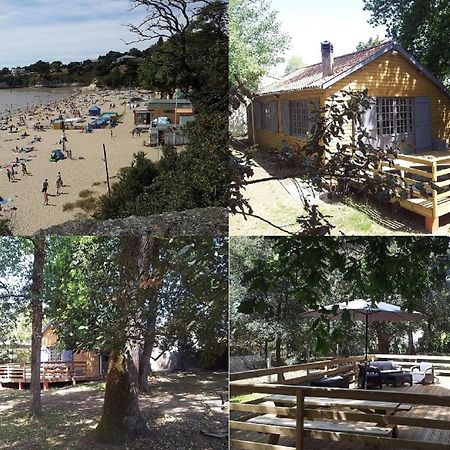 La Palombiere, Plage A 150M 吉伦特河畔梅谢尔 外观 照片
