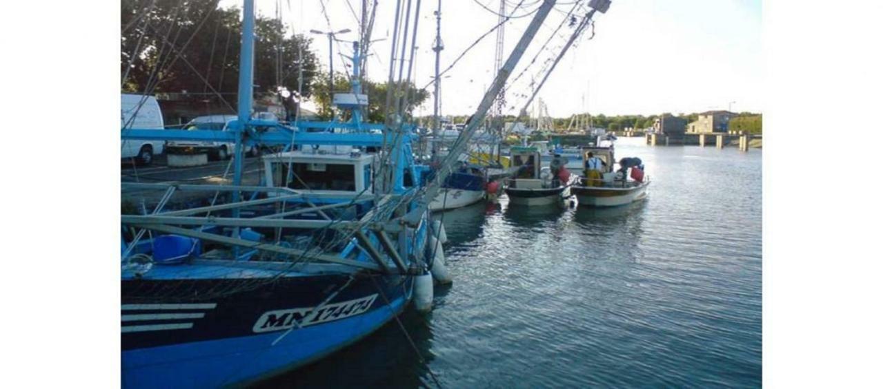 La Palombiere, Plage A 150M 吉伦特河畔梅谢尔 外观 照片
